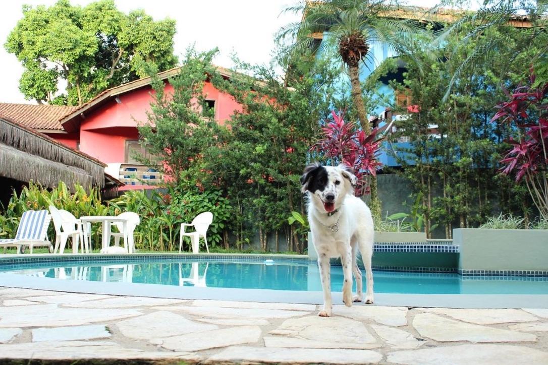 Pousada North Shore Maresias - 2 Quadras Da Praia - Casas De 2 Quartos - 80 M2 -2 Banheiros -Piscina Sauna - Estacion-Churrasq Privativa -Wifi Animais De Peq Porte Roupa De Cama E Banho 외부 사진